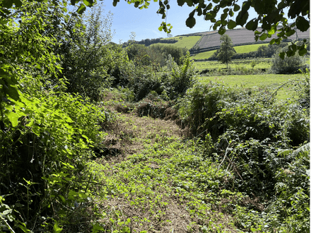 Land at Hatch 